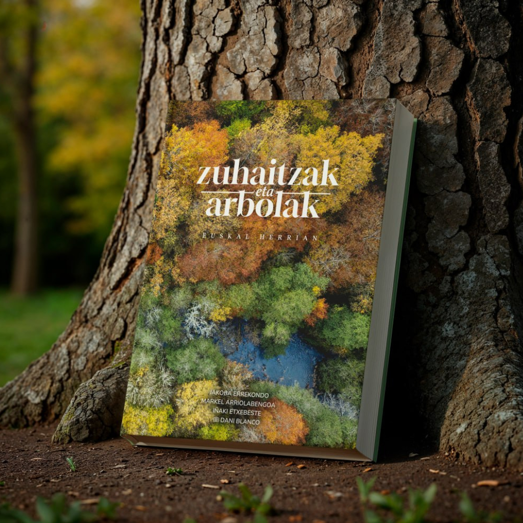 Zuhaitzak eta arbolak Euskal Herrian - Irudia 2